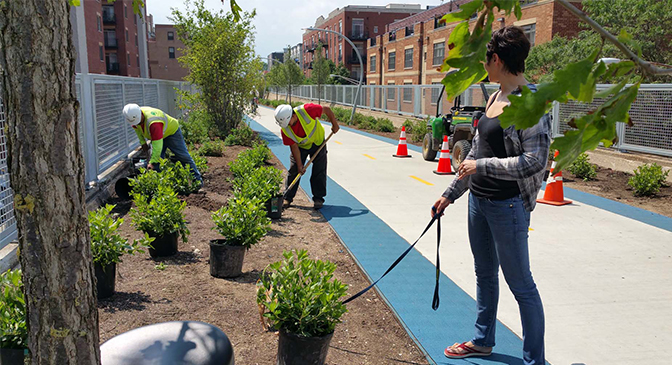 JRA_Bloomingdale Trail 606_Plant Placement